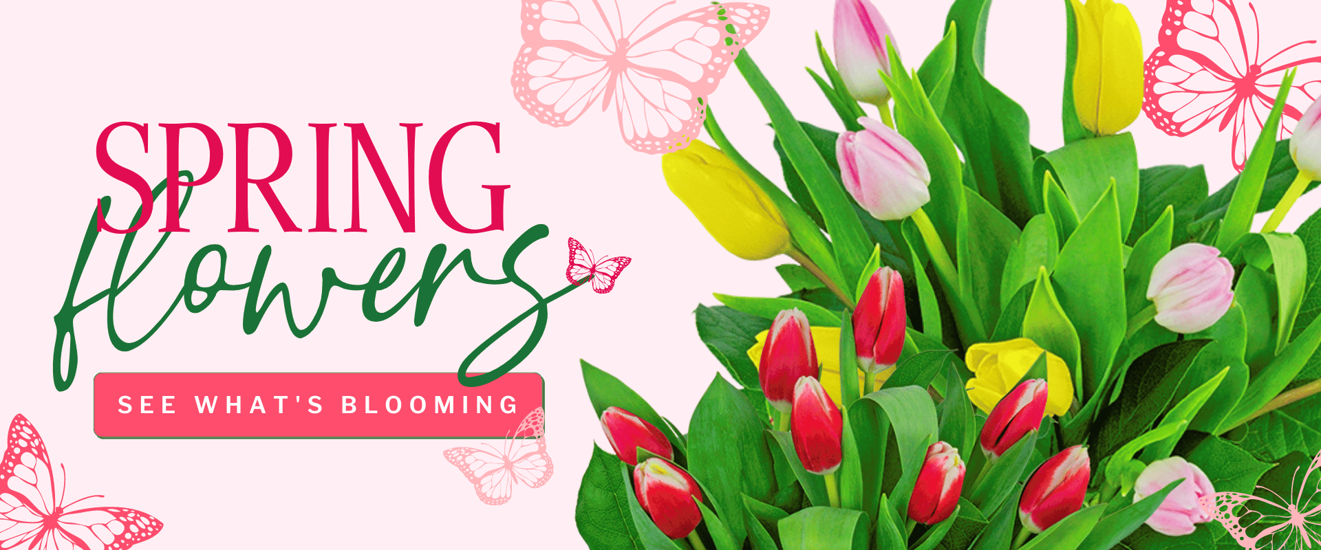 Spring Flowers banner linking to Spring flowers category